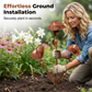 🌷🔥Calla-Lilien-Gartenstecker mit Glöckchen